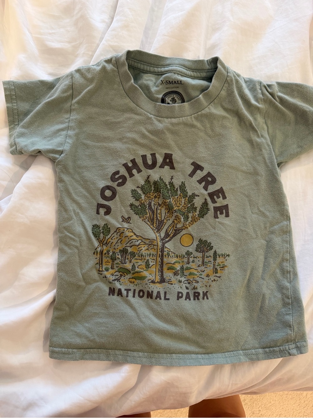 Kids Joshua Tree Graphic Tee in Sage Green - X-Small